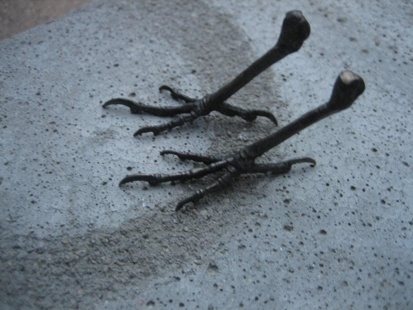 Woodland Crow/Blackbird Bronze Metal Bird Feet Sculptural by iNk Jewelry