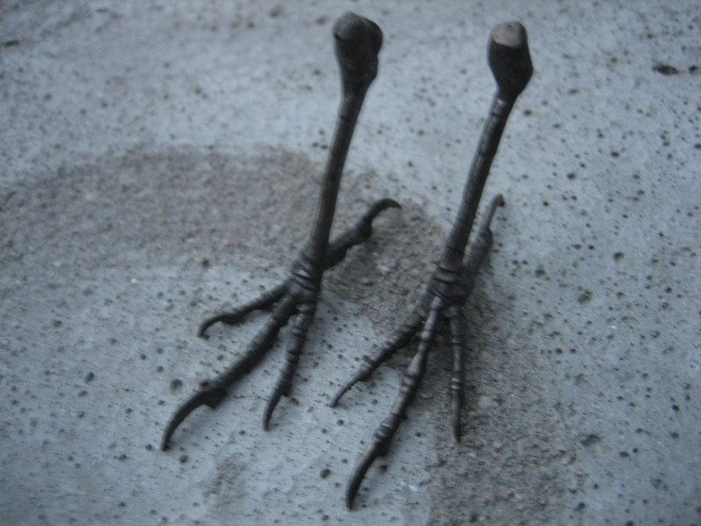 Woodland Crow/Blackbird Bronze Metal Bird Feet Sculptural by iNk Jewelry