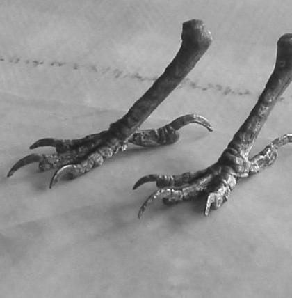 My Little Wren Woodland Bird Feet by iNk Jewelry