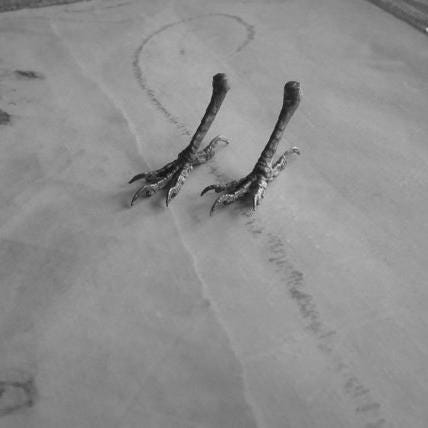 My Little Wren Woodland Bird Feet by iNk Jewelry