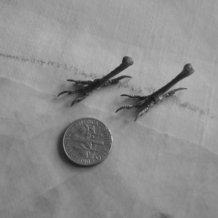 My Little Wren Woodland Bird Feet by iNk Jewelry